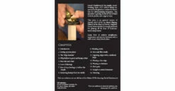 Precision Planing - DVD -BUYSPARES Sales 2 DVD DC 10 back